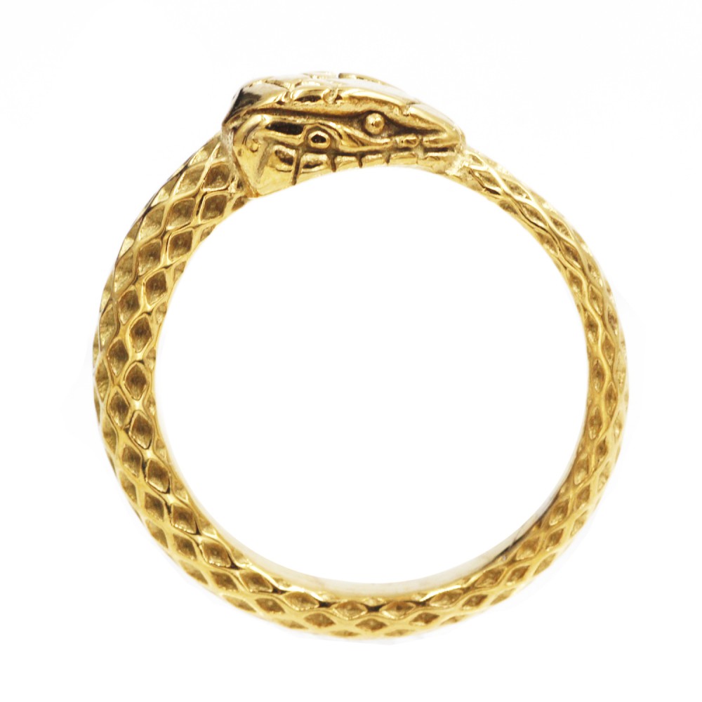 Awaken | Piercing Jewelery Shop Online Ring with Ouroboros Snake - A ...